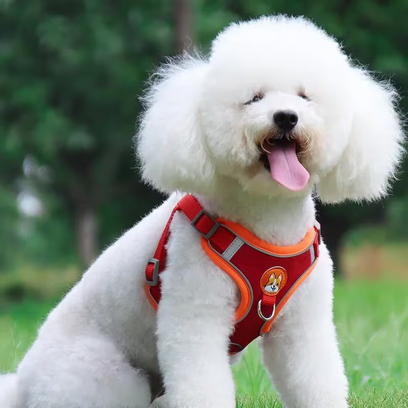 Dogs Adjustable Harness & Leash Set – No Pull Chest Vest for Small & Medium Dogs, Puppy Walking Outdoor Supplies